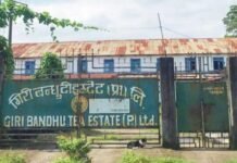 गिरी बन्धु टी स्टेटको जग्गा बिक्रीको विषयमा मन्त्रीको विरोध