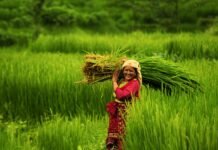 स्थानीय कृषि उत्पादन किन्दै गढीमाई कृषि सहकारी