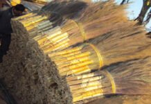 ५ महिनामा साढे ४१ करोडको अम्रिसो निर्यात