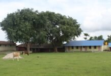 रुखमुनिको पढाईबाट स्थापना भएको ‘जनकल्याण प्रावि’